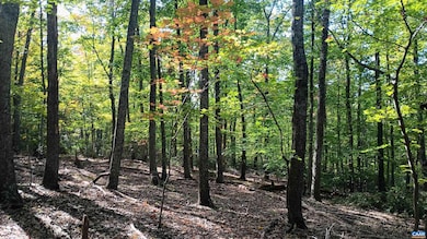 0 Oakcrest Ln unit 3, Rockfish, VA 22958 - photo 7