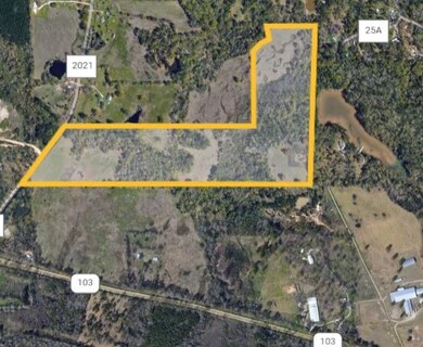 11987 Fm 2021, Lufkin, TX 75904 - photo 6