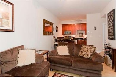 27 Wheeler St unit 222, Cambridge, MA 02138 - photo 4