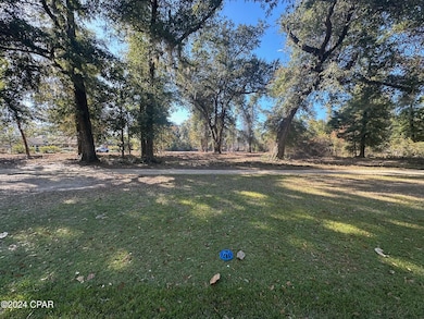 2836 Appalachee Trail, Marianna, FL 32446 - photo 3