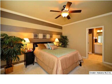 Large Master Bedroom suitable for a King or Queen 