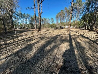 LOT 319 HICKORY NUT WAY 3
