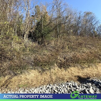 0 Bella Grace Dr unit 25572456, Smithville, TN 37166 - photo 4