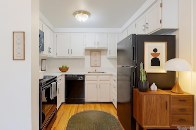 Dublin Terrace unit 101, Denver, CO 80206 - photo 4