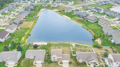 Pond Life