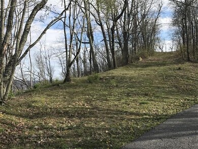 view lot 117