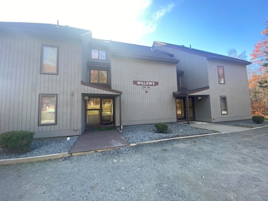 13 Snowtree Ln unit Willows K, West Dover, VT 05356 - photo 3