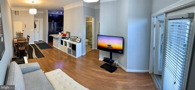 The Fitz at Rockville Town Center, Rockville, MD 20850 - photo 5