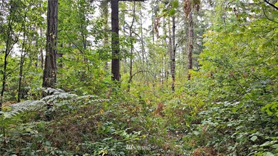 0 128th Ave E unit 1195099, Graham, WA 98338 - photo 4