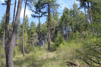 15 Romain Dr, Bigfork, MT 59911 - photo 6