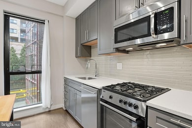 Octave 1320 unit 210, Silver Spring, MD 20910 - photo 4