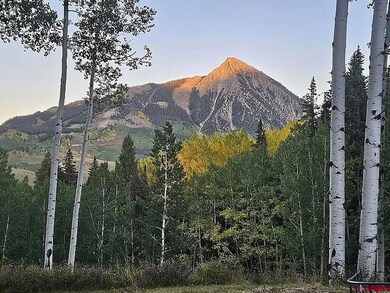 227 Phoenix Way, Crested Butte, CO 81224 - photo 2