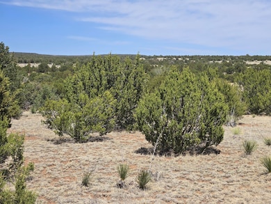 0 Oakwood Rd unit 7, Tajique, NM 87016 - photo 6