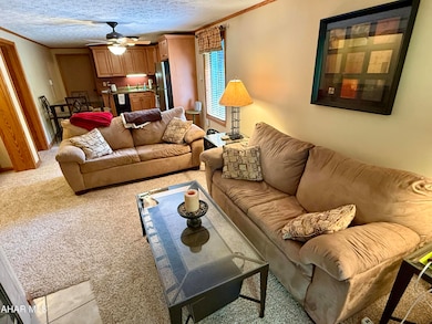 143 E Valley Point Ln unit 1323, Claysburg, PA 16625 - photo 3