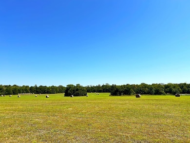 880 Wasden Rd, Hope Hull, AL 36043 - photo 3