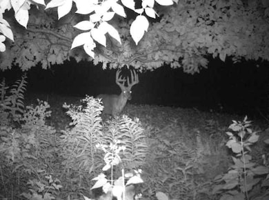 N34701 County Rd N, Blair, WI 54616 - photo 4