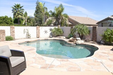 Backyard 2