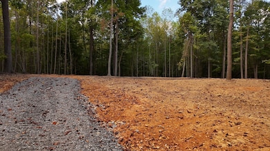 7960 Bill Moss Rd, White House, TN 37188 - photo 6