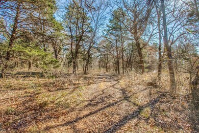 1388 County Road 176, Whitesboro, TX 76273 - photo 4