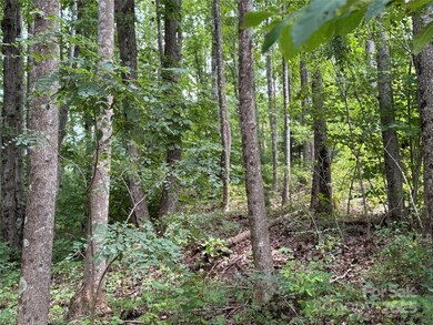 2.01 acres, Lot 971 Soaring Top Ln unit 971, Lenoir, NC 28645 - photo 3
