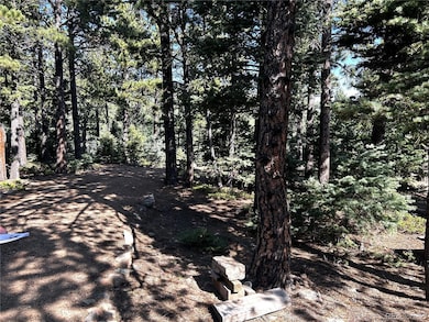 53 Pine Eagle Ct, Westcliffe, CO 81252 - photo 4