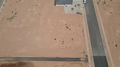 DJI_0321