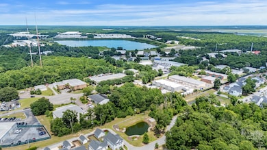 481 Jessen Ln, Charleston, SC 29492 - photo 6