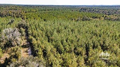 unlisted-address, Caryville, FL 32427 - photo 2