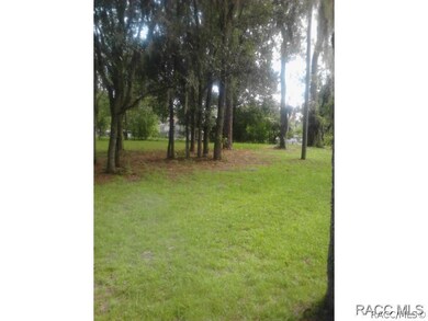 3135 N Chameleon Point, Crystal River, FL 34428 - photo 2