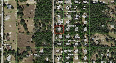 1050 E Whistler Ct, Hernando, FL 34442 - photo 6