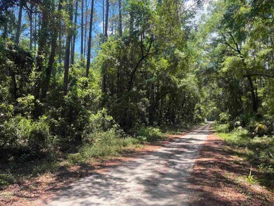 0 Owl Ln unit 378192, Wakulla, FL 32327 - photo 4