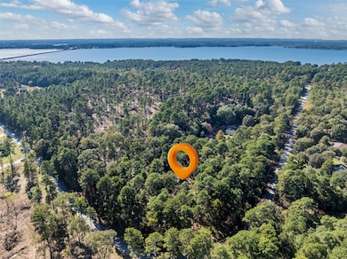 Lot 6 Pintail Dr, Flint, TX 75762 - photo 3