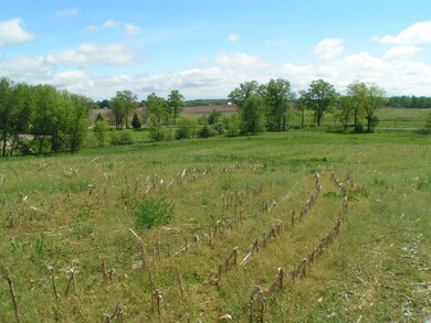 2015 Jefferson Rd, Ionia, MI 48846 - photo 6