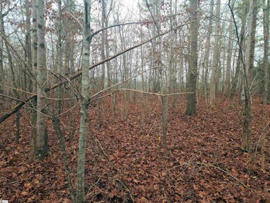 0 Scott Ln, Pelzer, SC 29669 - photo 7