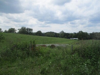 2634 Junction Rd, Flemingsburg, KY 41041 - photo 7