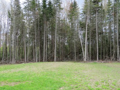 4. Back yard.