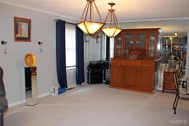 3905 Missouri 21, Doniphan, MO 63935 - photo 7