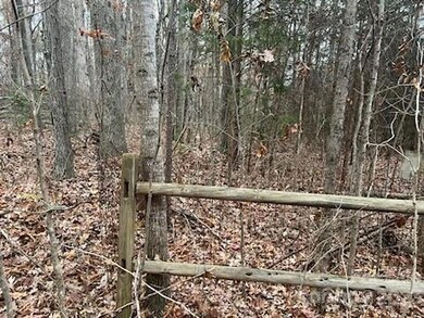 23811 S Nc Highway 109, Denton, NC 27239 - photo 4