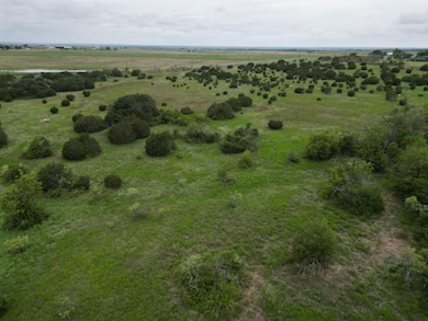 0 Tbd Hwy 36 W, Hamilton, TX 76531 - photo 3