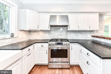 6911 Elm Dr, Alexandria, VA 22306 - photo 3