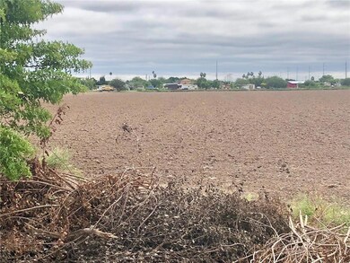 1.2 M Whalen Rd, Donna, TX 78537 - photo 2