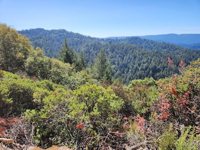 0 Conley Creek unit ML82011082, San Lorenzo Valley, CA 95006 - photo 5