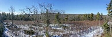 Lot 31 Scripps Ln unit 31, Mason, NH 03048 - photo 4
