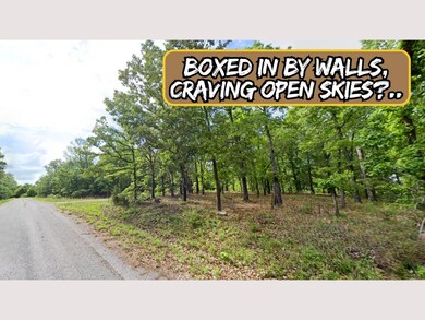 679G+436 Horseshoe Bend unit Arkansas AR USA, Horseshoe Bend, AR 72512 - photo 7