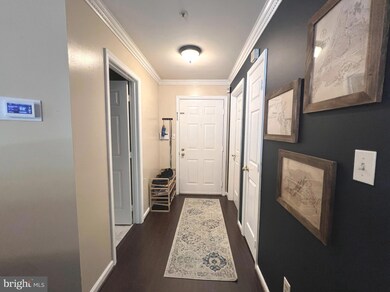 4407 Silverbrook Ln unit C201, Owings Mills, MD 21117 - photo 2