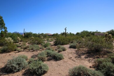 Mesa lot 1.jpg
