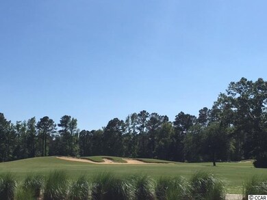 133 Board Landing Cir, Conway, SC 29526 - photo 4