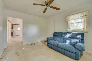 607 E Market St, Johnson City, TN 37601 - photo 6