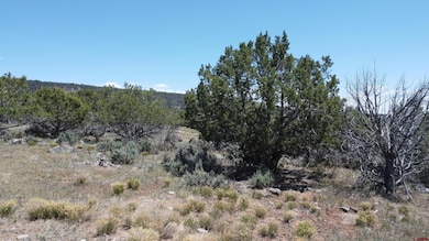 TBD Surface Creek Rd, Cedaredge, CO 81413 - photo 7