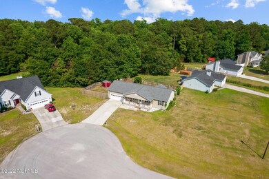 5-web-or-mls-DJI_0565